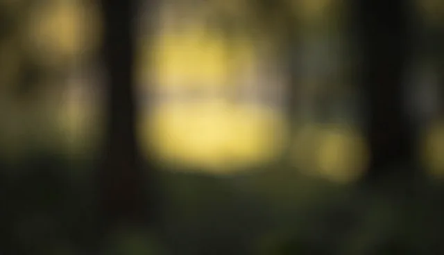 运维托管选型误区:成本与效率的取舍